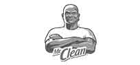 cleaning supplies mr clean